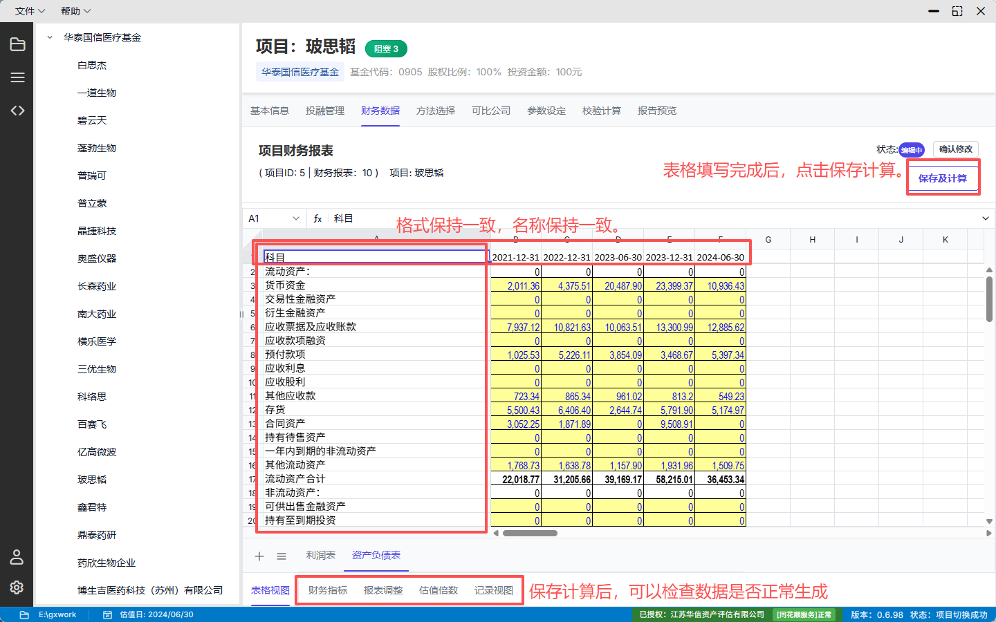 财务数据表格