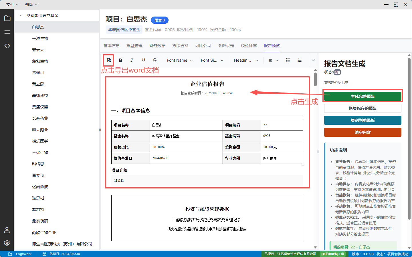 报告预览